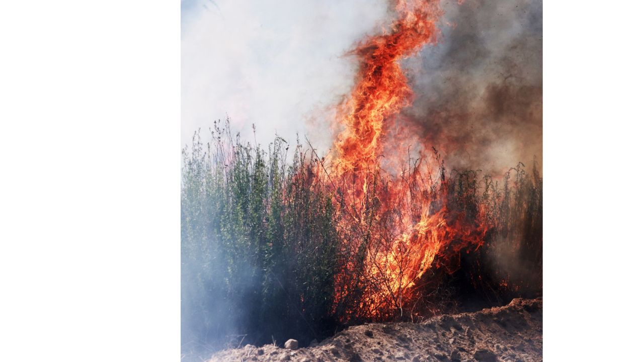 The Post Fire in Los Angeles County has consumed more than 15,000 acres1