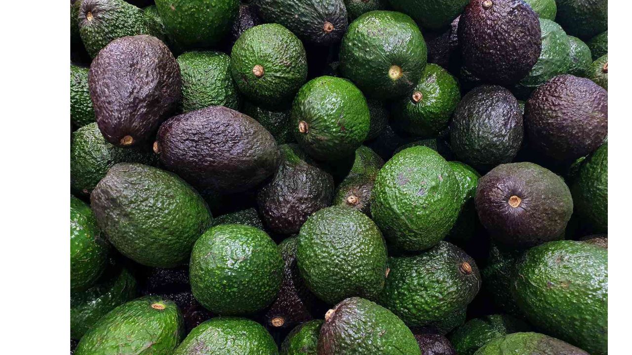 US suspends avocado imports from Mexican state due to security incident, government source says